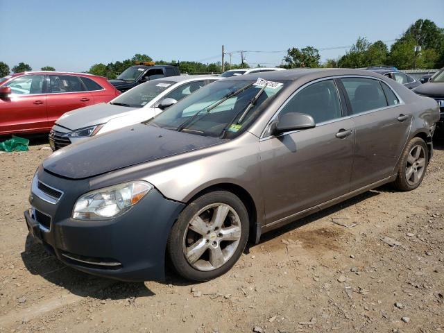 Vin: 1g1zd5e10bf158566, lot: 53612193, chevrolet malibu 2lt 2011 img_1