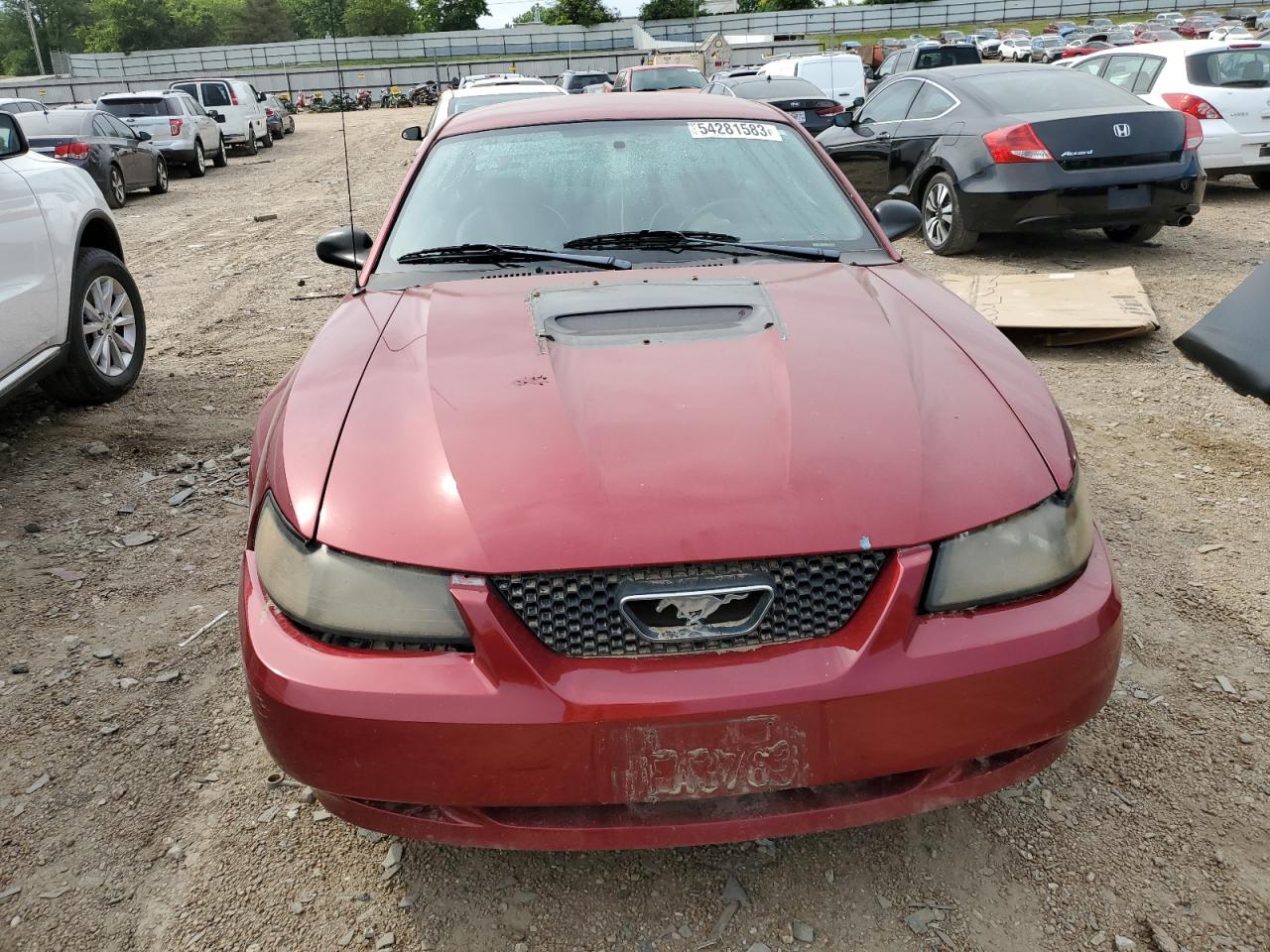 Lot #2093648023 2003 FORD MUSTANG