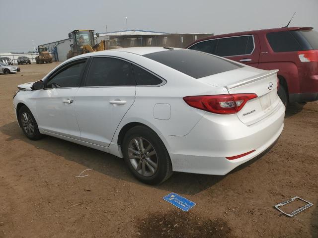 5NPE24AF9GH262199 Hyundai SONATA SE