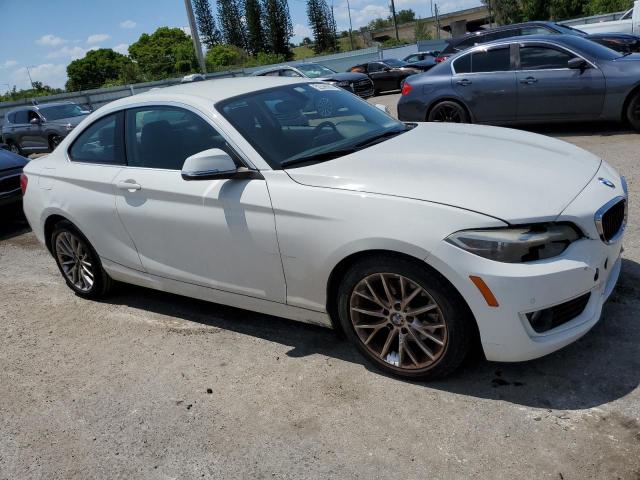 2015 BMW 228 I - WBA1F5C51FV256809