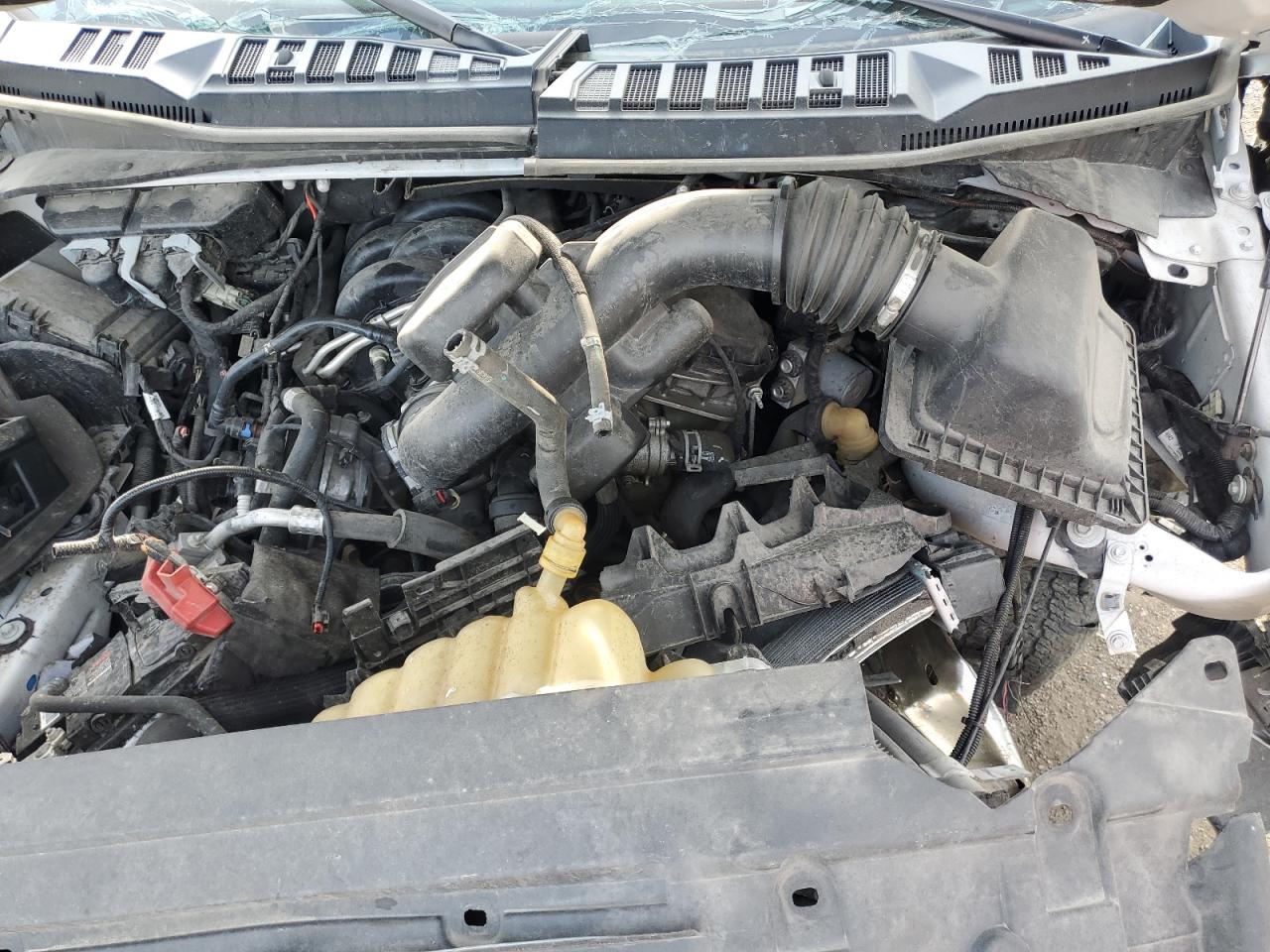 1FTEW1E56KFC51118 FORD F-150 2019