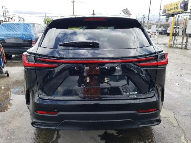 2023 LEXUS NX 250 - 2T2ADCEZ5PC002646