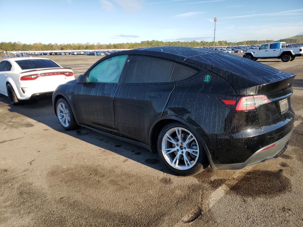 5YJYGDEE9MF099449 Tesla Model Y  2