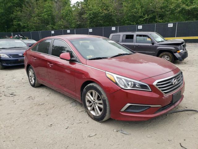 Vin: 5npe24af9gh277429, lot: 52113113, hyundai sonata se 20164