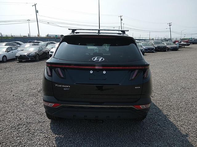 2023 HYUNDAI TUCSON N L KM8JFCAE0PU193439
