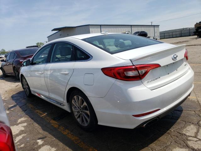 5NPE34AF4FH252093 Hyundai Sonata Sport
