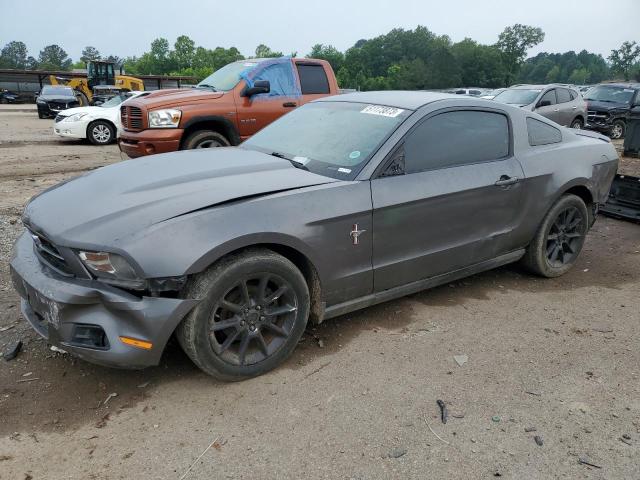 2010 Ford Mustang 