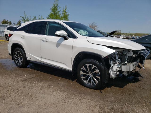 2021 LEXUS RX 450H 2T2HGMDA5MC068052
