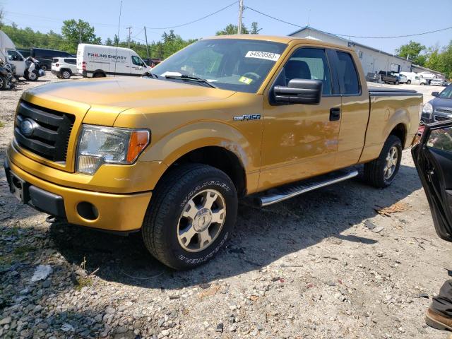 2009 Ford F-150 