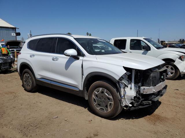 2021 HYUNDAI SANTA FE B KM8S2DA12MU012808