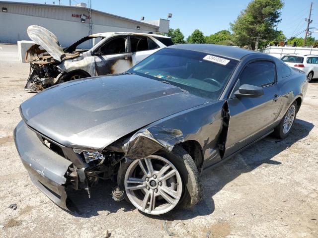 2010 Ford Mustang 