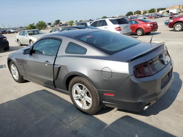 1ZVBP8AM5E5304033 2014 FORD MUSTANG, photo no. 2