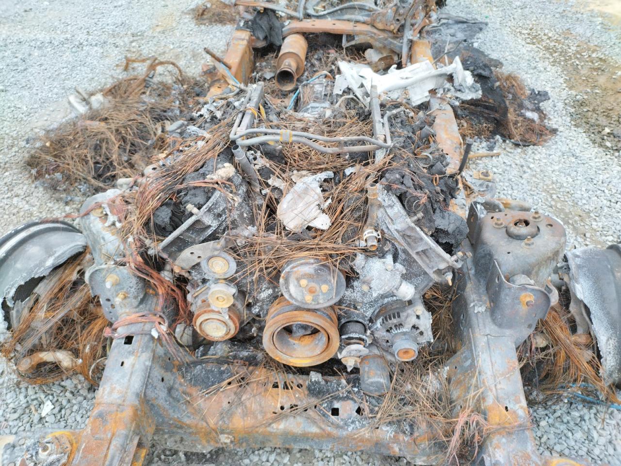 1FTFW1E52MKE07430 FORD F-150 2021