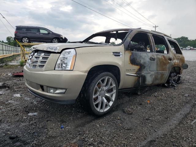 2010 Cadillac Escalade Premium