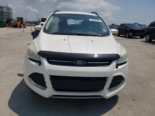 1FMCU0GXXEUB93189 Ford ESCAPE SE