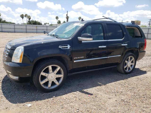 2010 Cadillac Escalade Premium