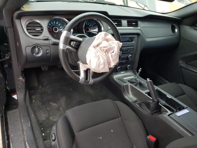 1ZVBP8CF5E5310235 Ford MUSTANG GT