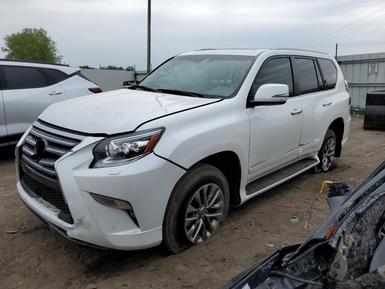 Lexus gx460 2019