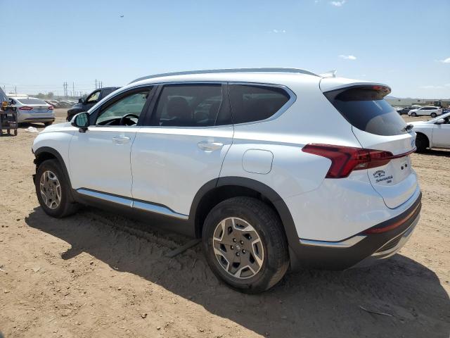 2021 HYUNDAI SANTA FE B KM8S2DA12MU012808