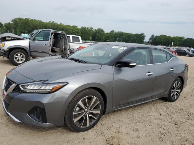 2023 Nissan Maxima SV