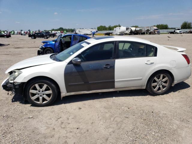 2006 Nissan Maxima SE