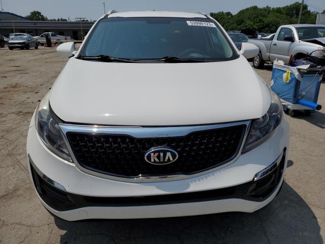 KNDPC3AC7G7844005 KIA Sportage Ex