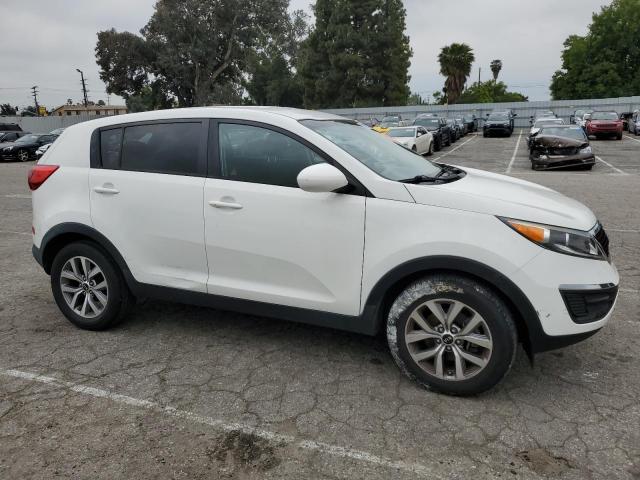 KNDPB3AC9G7809338 KIA Sportage Lx