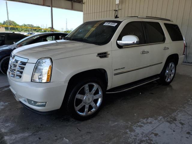 2010 Cadillac Escalade Luxury