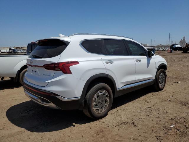 2021 HYUNDAI SANTA FE B KM8S2DA12MU012808