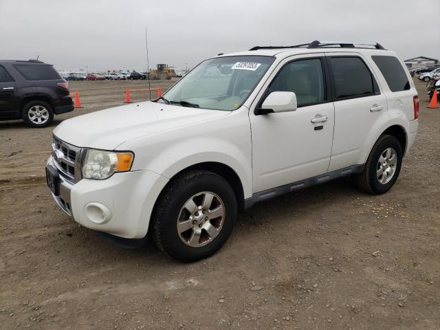 2011 Ford Escape Limited