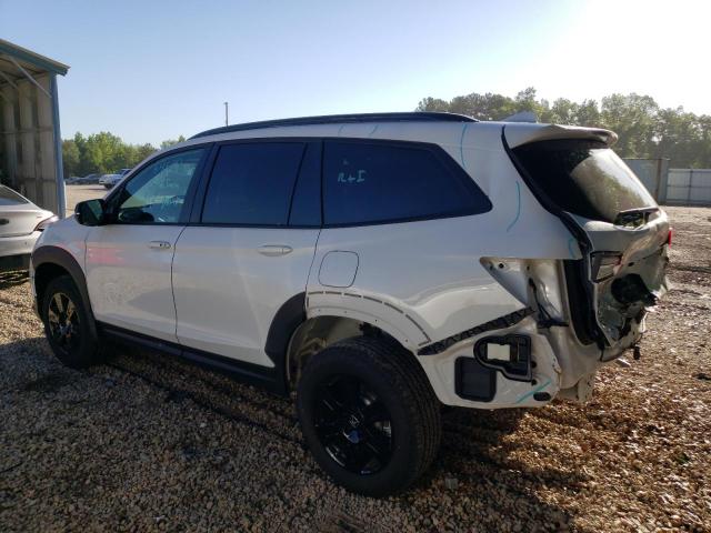 2022 HONDA PILOT TRAI 5FNYF6H83NB099985