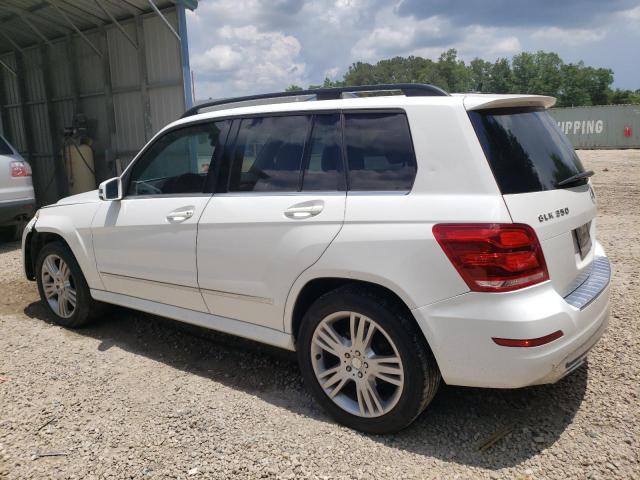 VIN WDCGG5HB8EG269286 2014 MERCEDES-BENZ GLK-CLASS no.2