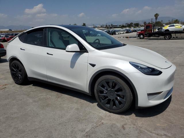 5YJYGDEE0MF212964 Tesla Model Y