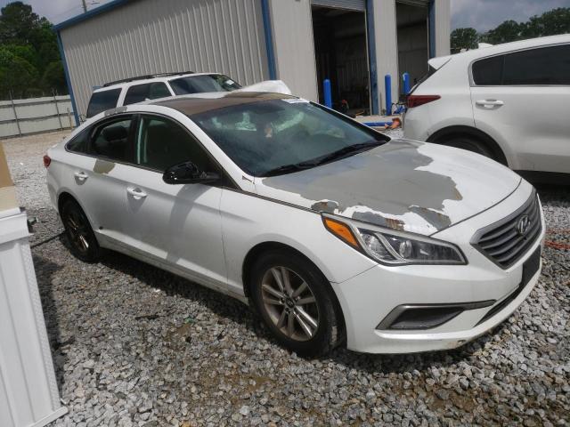 5NPE24AF2GH384810 Hyundai SONATA SE