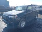 2023 TOYOTA 4RUNNER SE - JTEMU5JR3P6092191