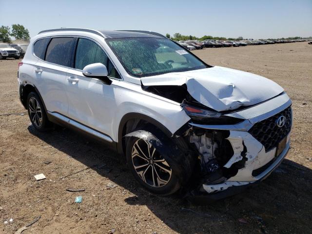 2019 HYUNDAI SANTA FE L - 5NMS5CAA9KH019281