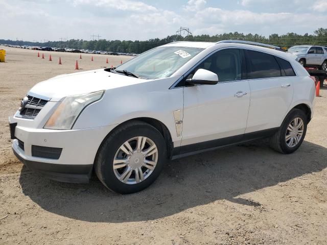 2011 Cadillac SRX Luxury Collection