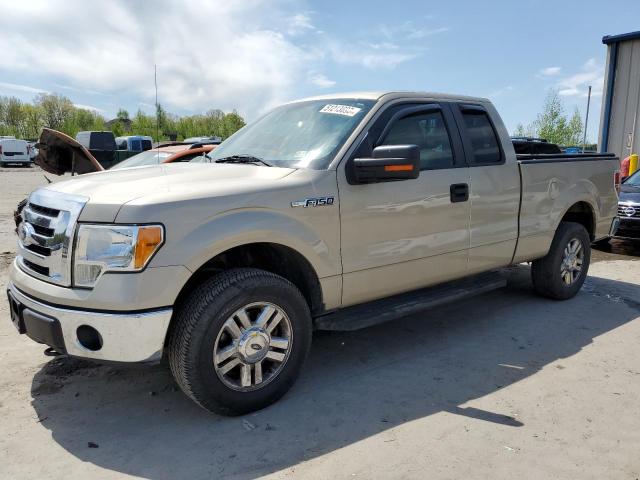 2010 Ford F-150 