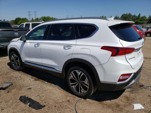 2019 HYUNDAI SANTA FE L - 5NMS5CAA9KH019281