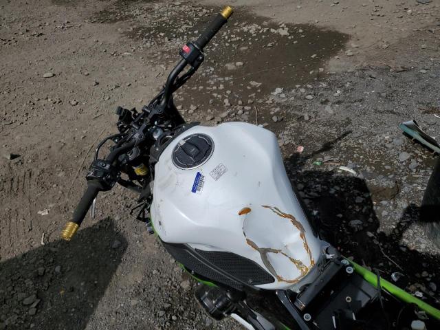 2021 KAWASAKI ZR900 F - ML5ZRDF16MDA45590