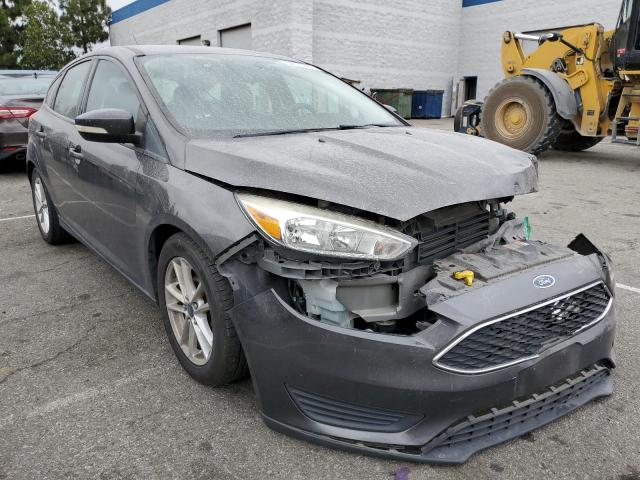 1FADP3K20GL256439 Ford FOCUS SE