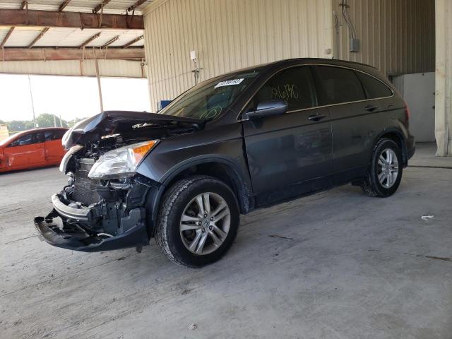 Salvage cars for sale from Copart Homestead, FL: 2011 Honda CR-V EXL