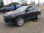 2020 JEEP CHEROKEE L - 1C4PJMCBXLD615796