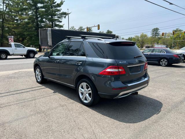 2015 MERCEDES-BENZ ML 250 BLU - 4JGDA0EB6FA518234