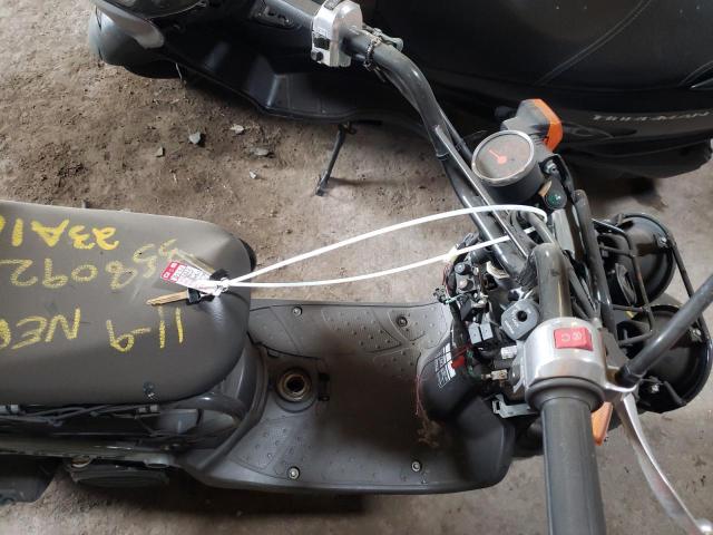 2022 HONDA NPS50 - JH2AF5818NK900791