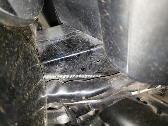 2006 HARLEY-DAVIDSON FLTRI - 1HD1FSW176Y609576