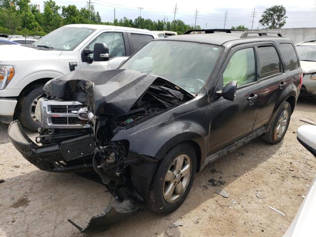 2009 Ford Escape XLT