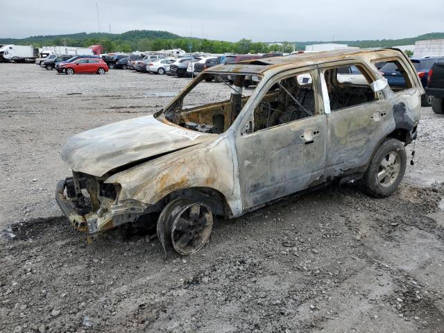 2008 Ford Escape XLT