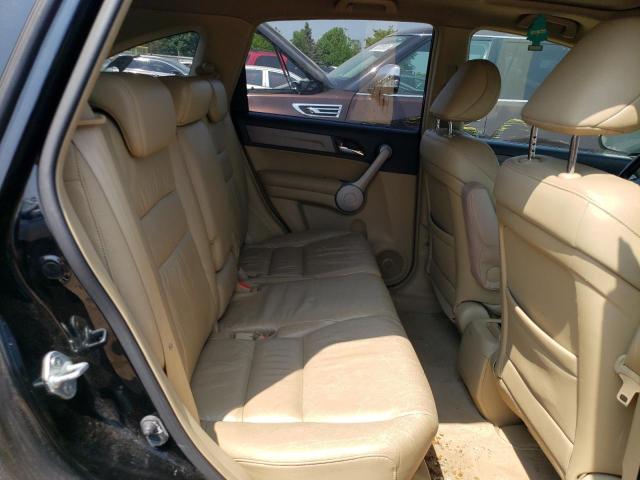 2007 Honda Cr-V Exl VIN: JHLRE48727C035829 Lot: 53460373