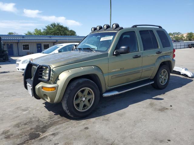 2002 Jeep Liberty Renegade